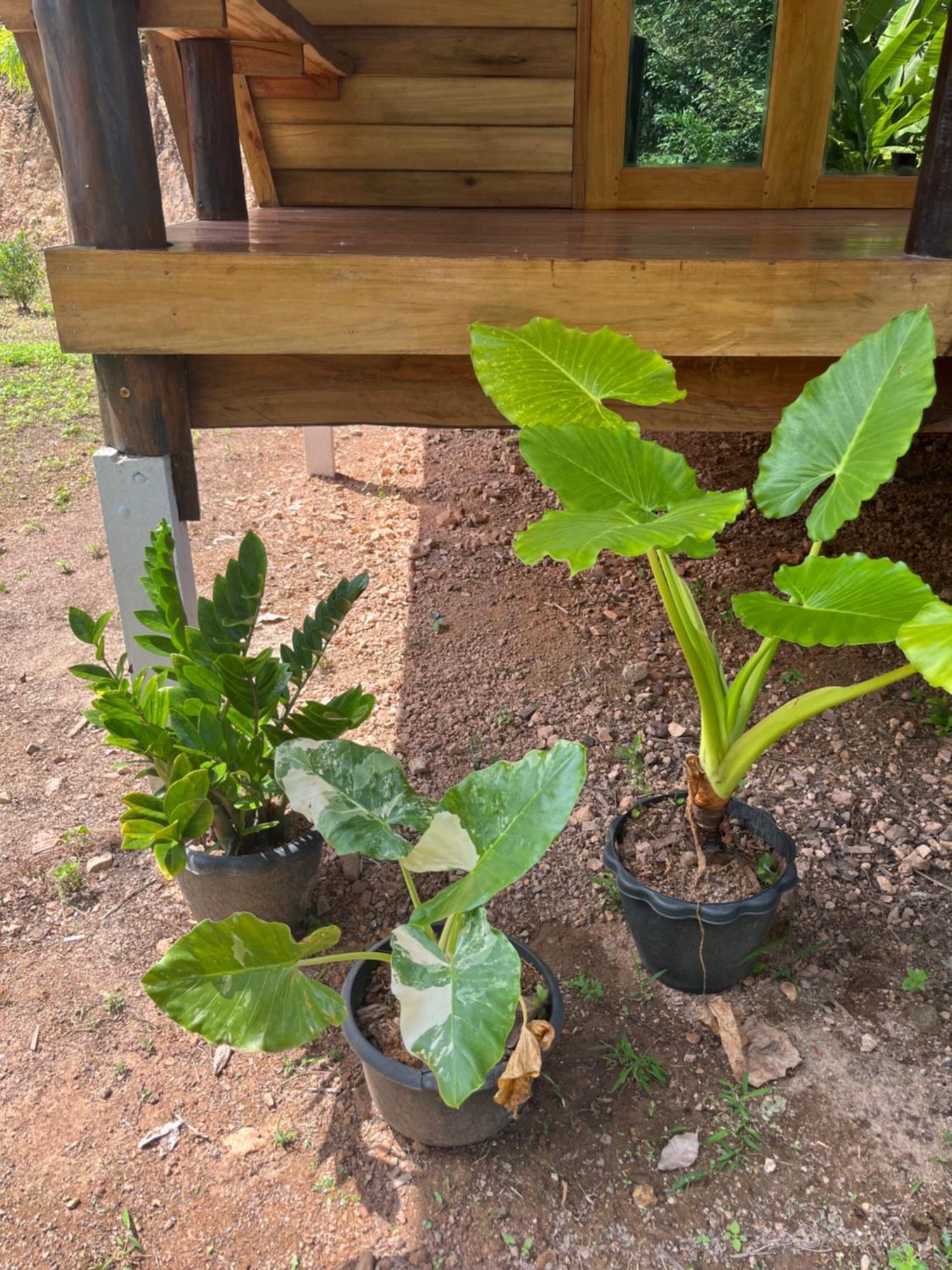 Koh Jum Home Stay 외부 사진